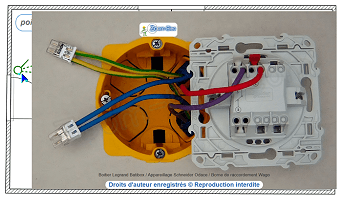 Raccordement de l'interrupteur