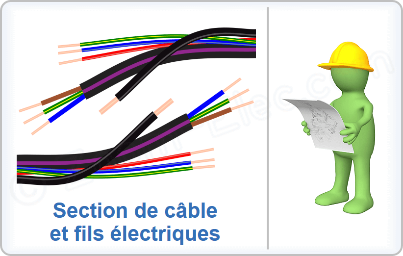 Section de câble et fils électriques