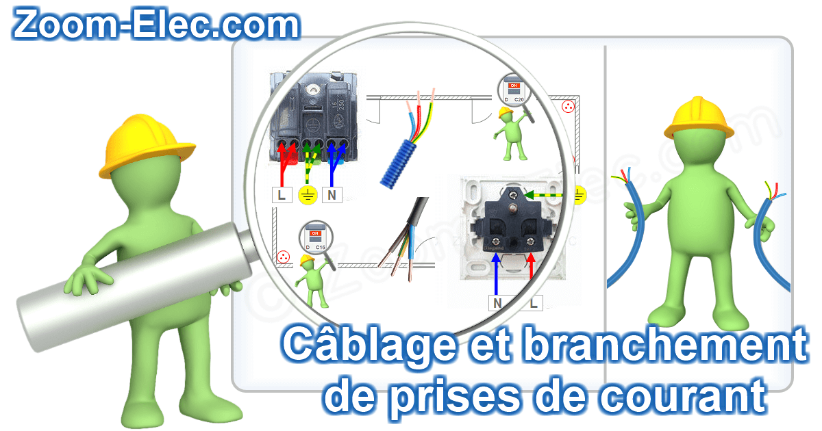 Zoom sur le câblage interactif d’une prise électrique et le raccordement de la phase, du neutre et du conducteur de protection.